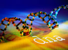 Αποκρυπτογράφηση του ανθρώπινου γονιδιώματος: τώρα αρχίζουν τα δύσκολα.