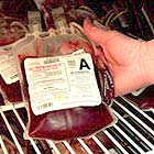 Απαγόρευση αιμοδοσίας στην Αυστραλία