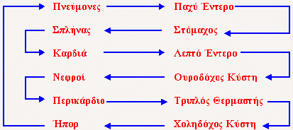 Οι  παραδοσιακοί Μεσημβρινοί και τα σημεία βελονισμού