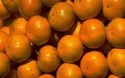 Πορτοκάλι