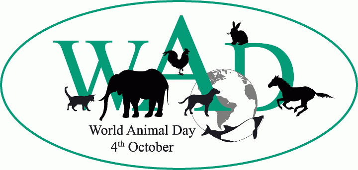 You are currently viewing Οι Οικολόγοι Πράσινοι για την Παγκόσμια Ημέρα των Ζώων