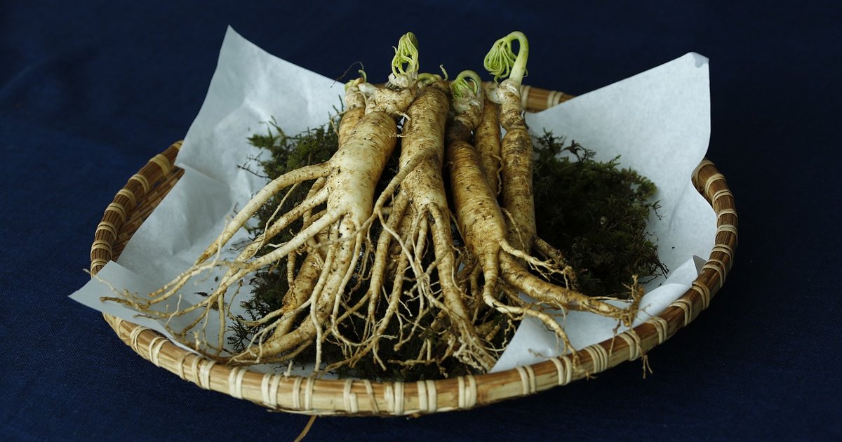 Read more about the article Ginseng, το φυτό της ευεξίας!