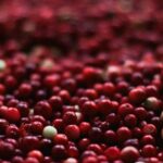 Cranberry και D-μαννόζη: Η φυσική θεραπεία για την ουρολοίμωξη!
