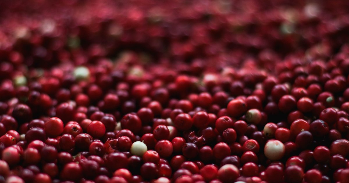 Read more about the article Cranberry και D-μαννόζη: Η φυσική θεραπεία για την ουρολοίμωξη!